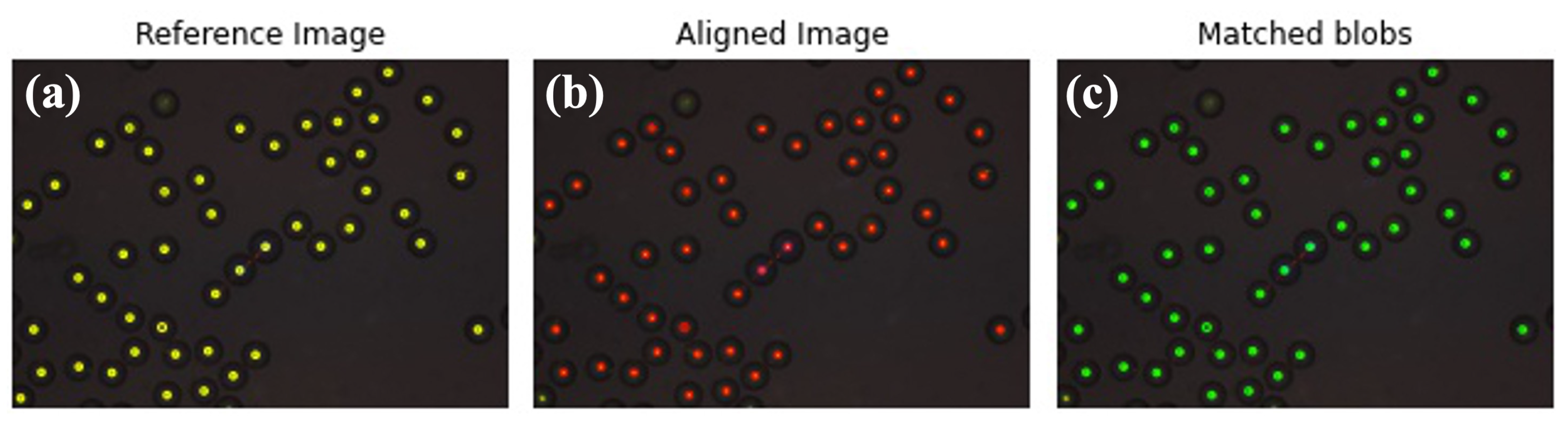 Make 04 00010 g007 550