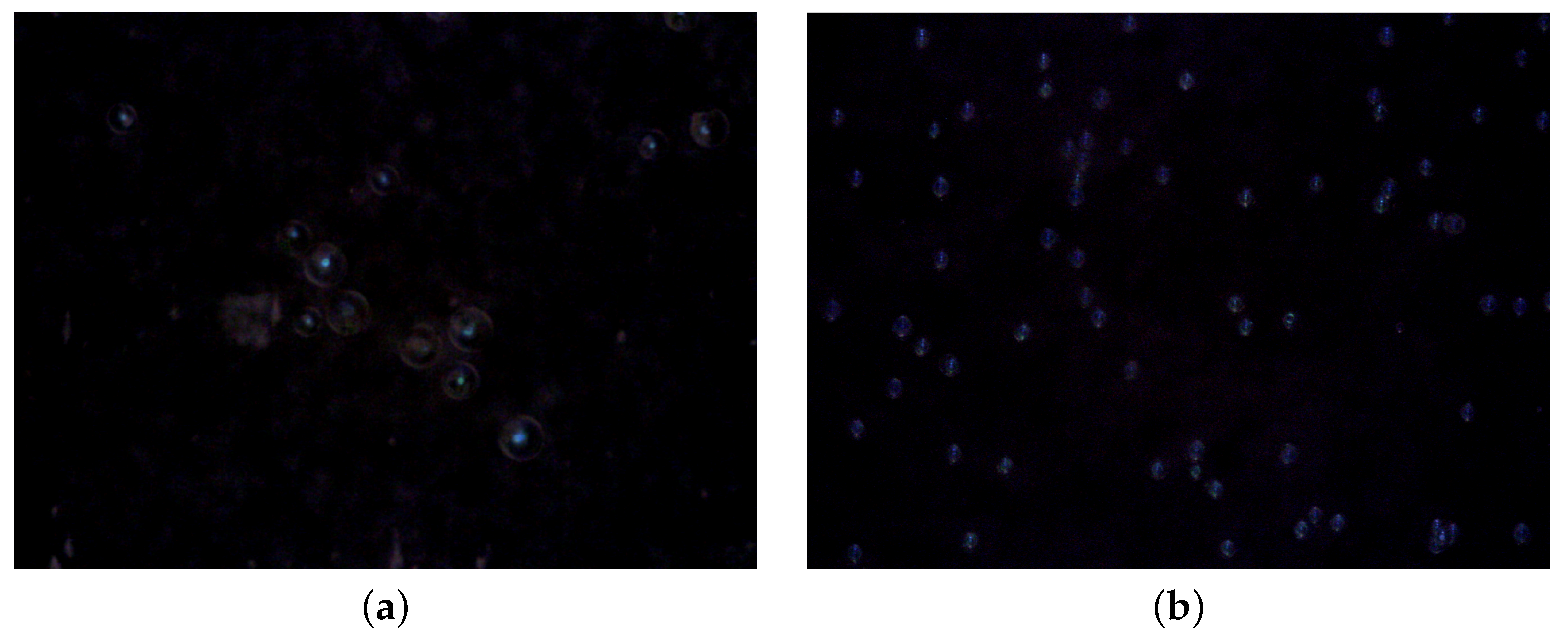 Make 04 00010 g011 550