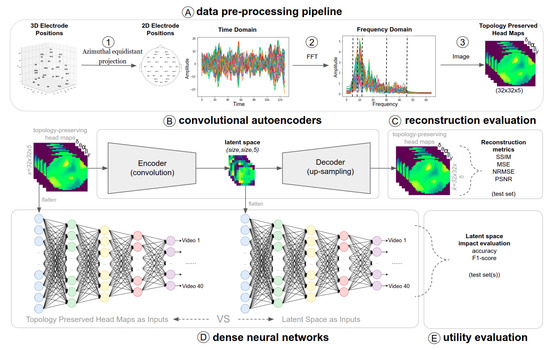 2D image analysis, synonym of spatial topology-preserving