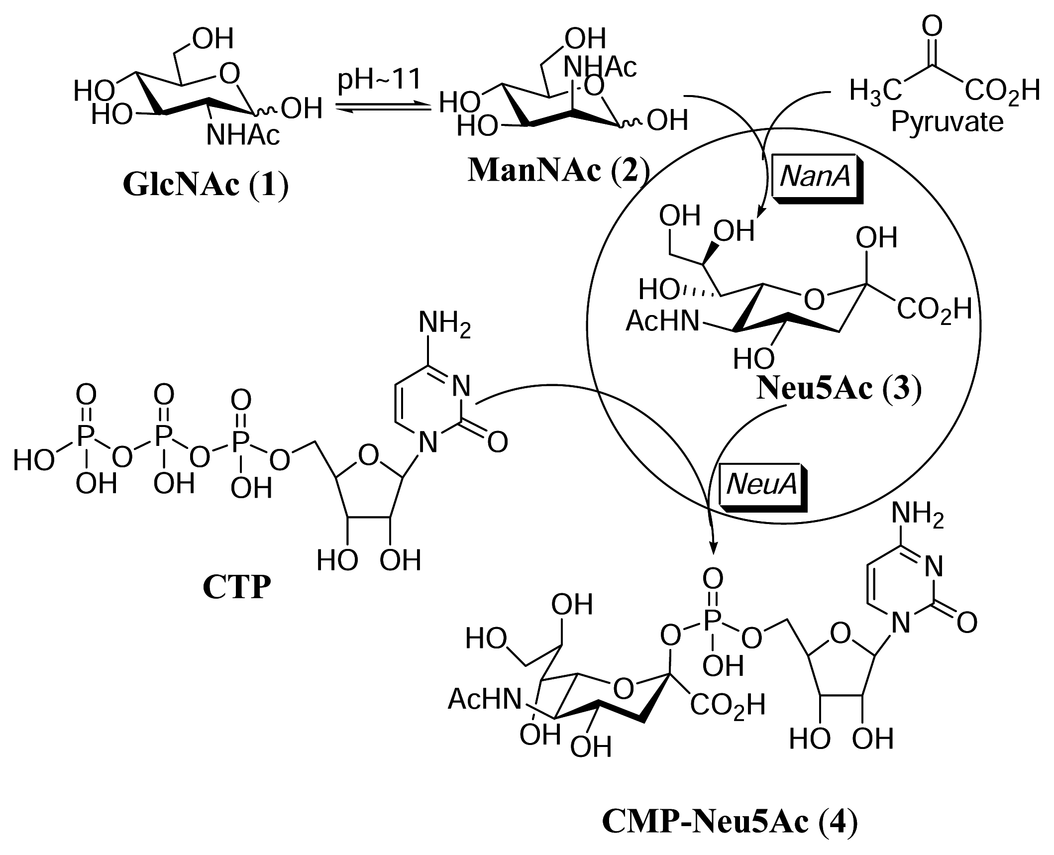 Marinedrugs 01 00034f1