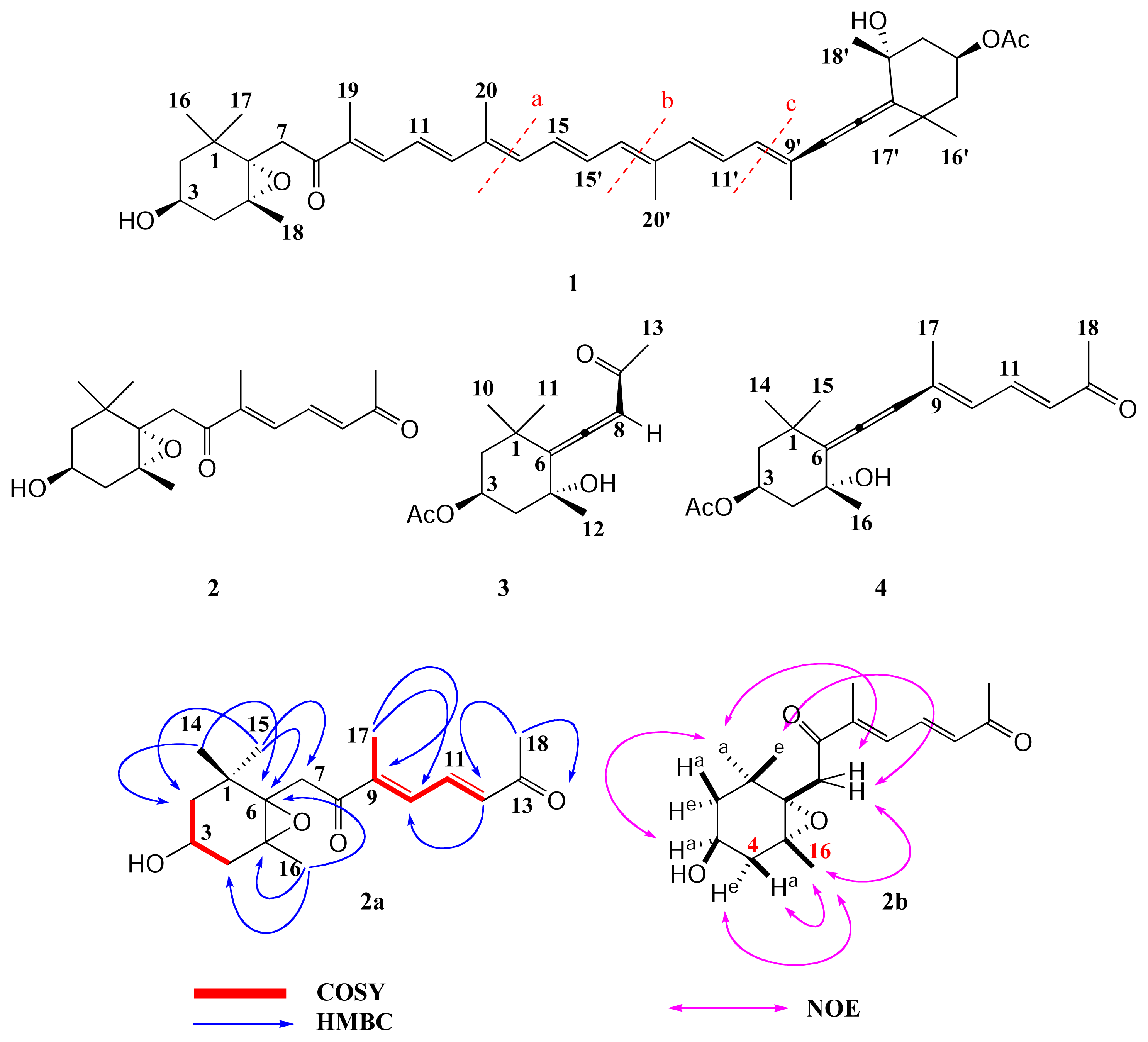 Marinedrugs 02 00063f3 1024