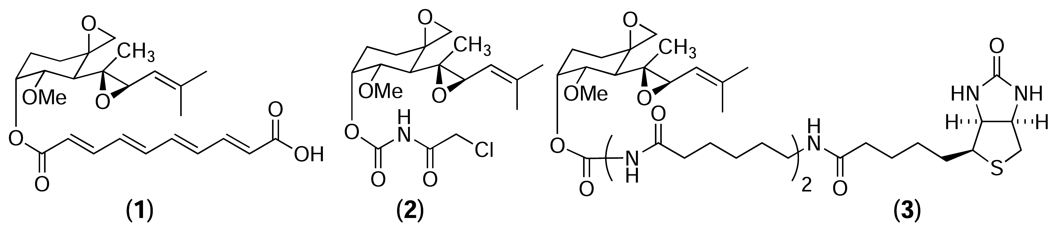 Marinedrugs 03 00036f14 1024