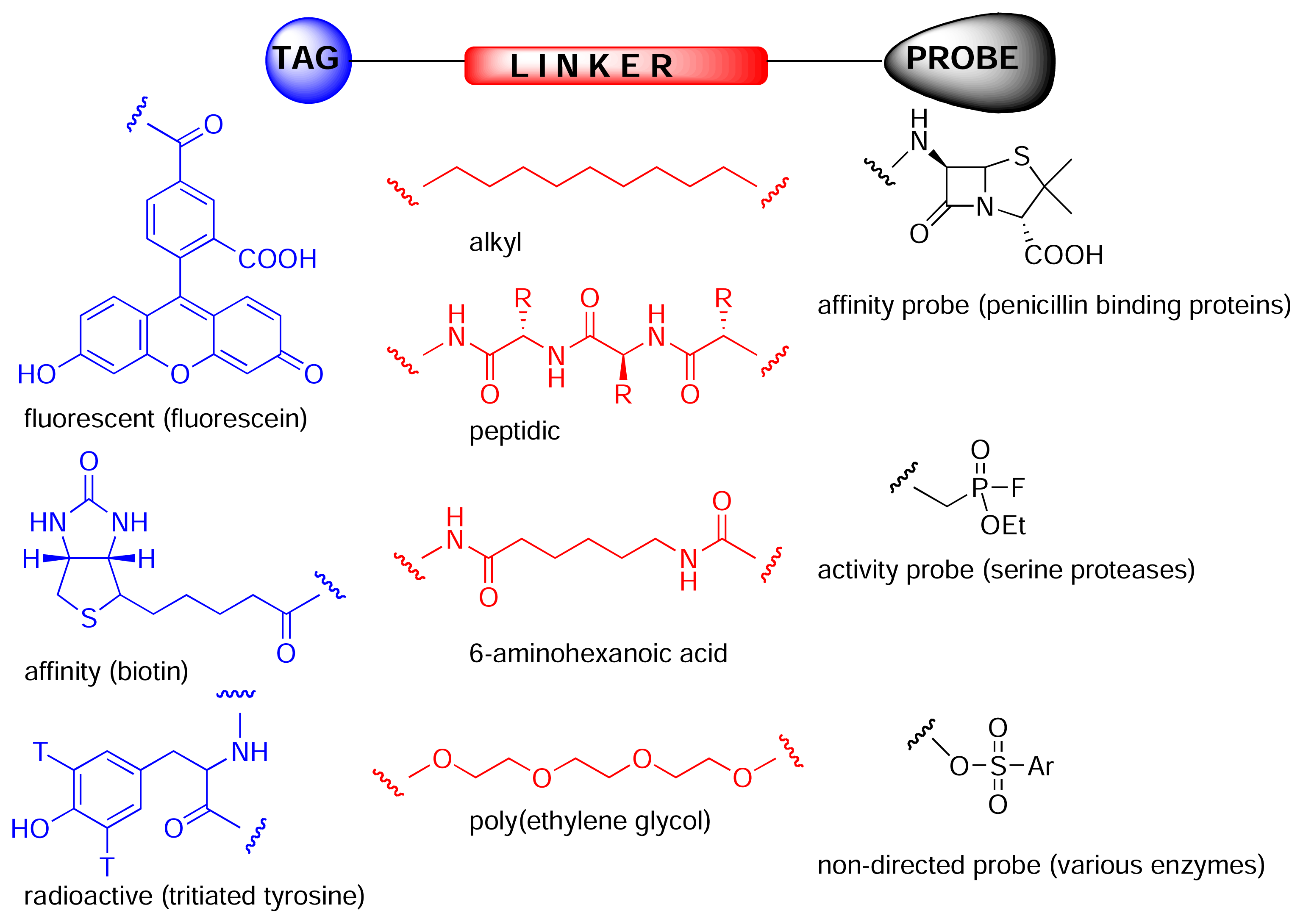 Marinedrugs 03 00036f2 1024