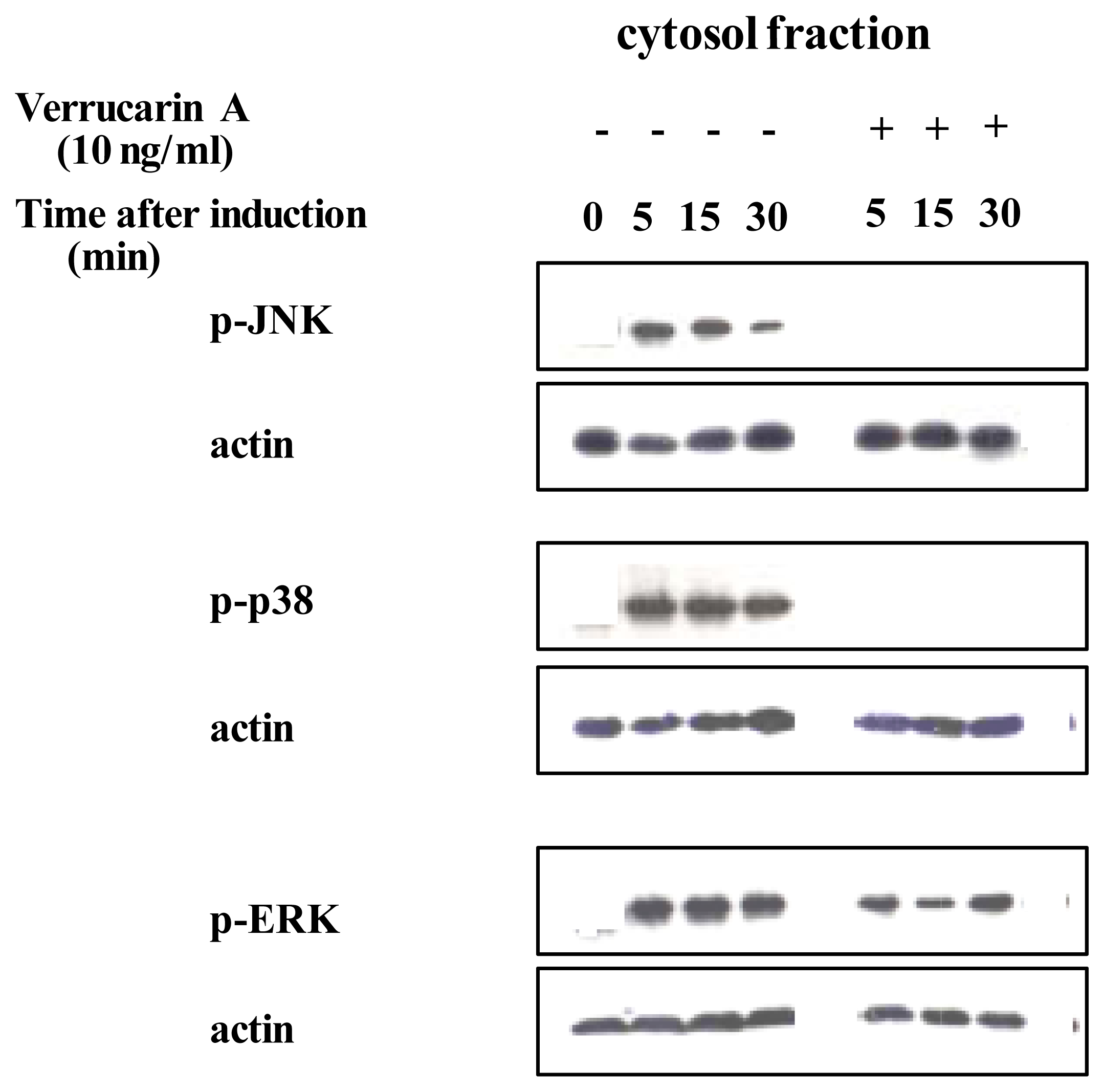Marinedrugs 03 00064f4 1024