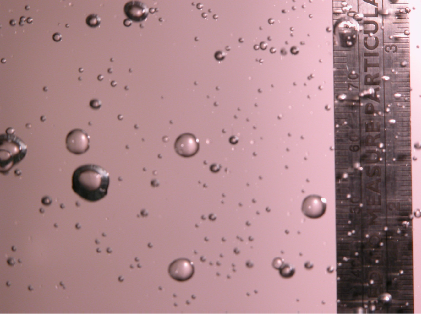 Marinedrugs 05 00136 g002