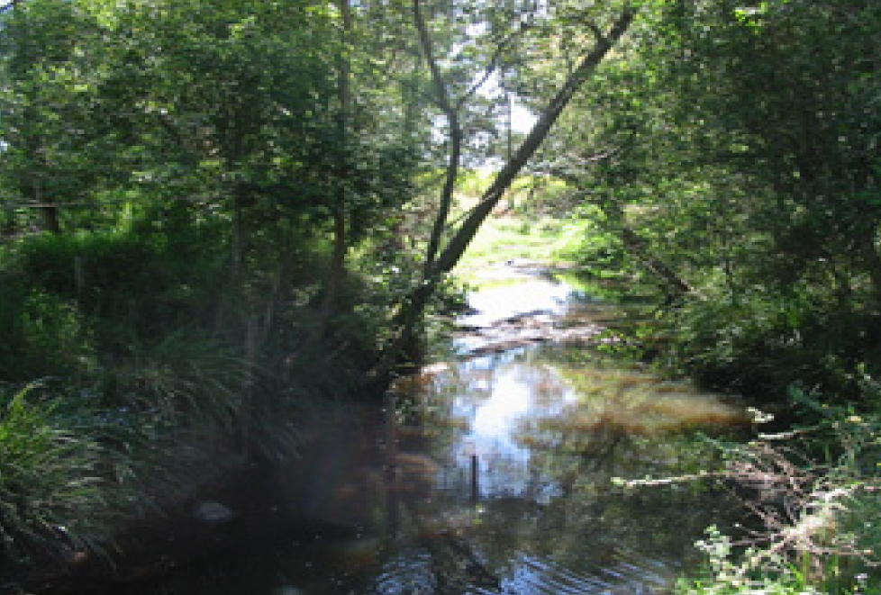 Marinedrugs 06 00243f10