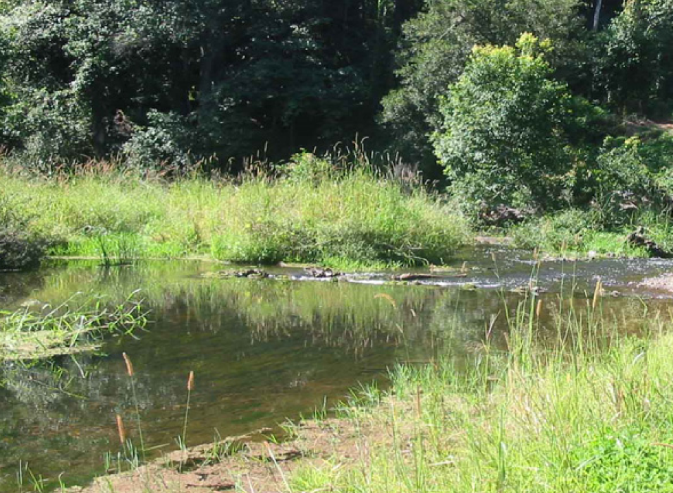 Marinedrugs 06 00243f11