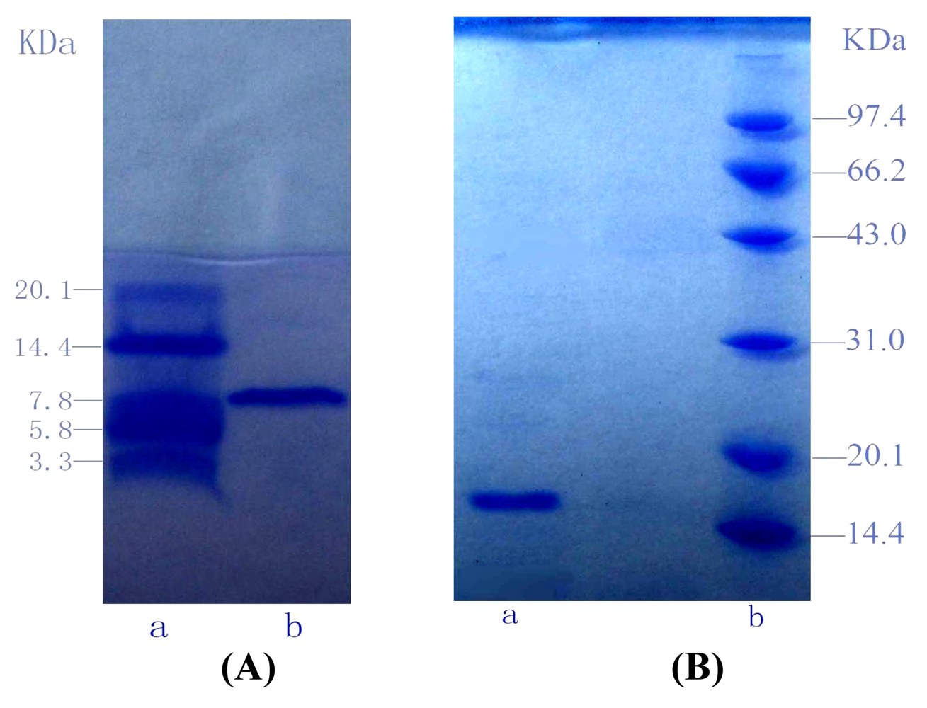 Marinedrugs 06 00418f3