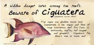 Marine Drugs | Free Full-Text | Ciguatera Fish Poisoning: Treatment,  Prevention And Management
