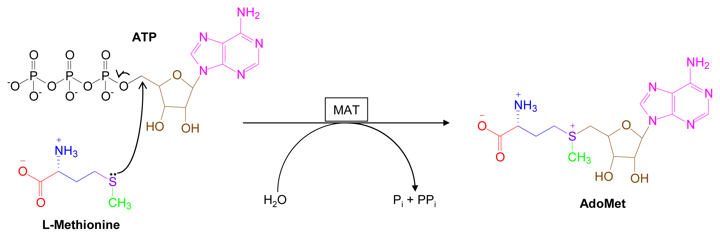 Marinedrugs 07 00401f1