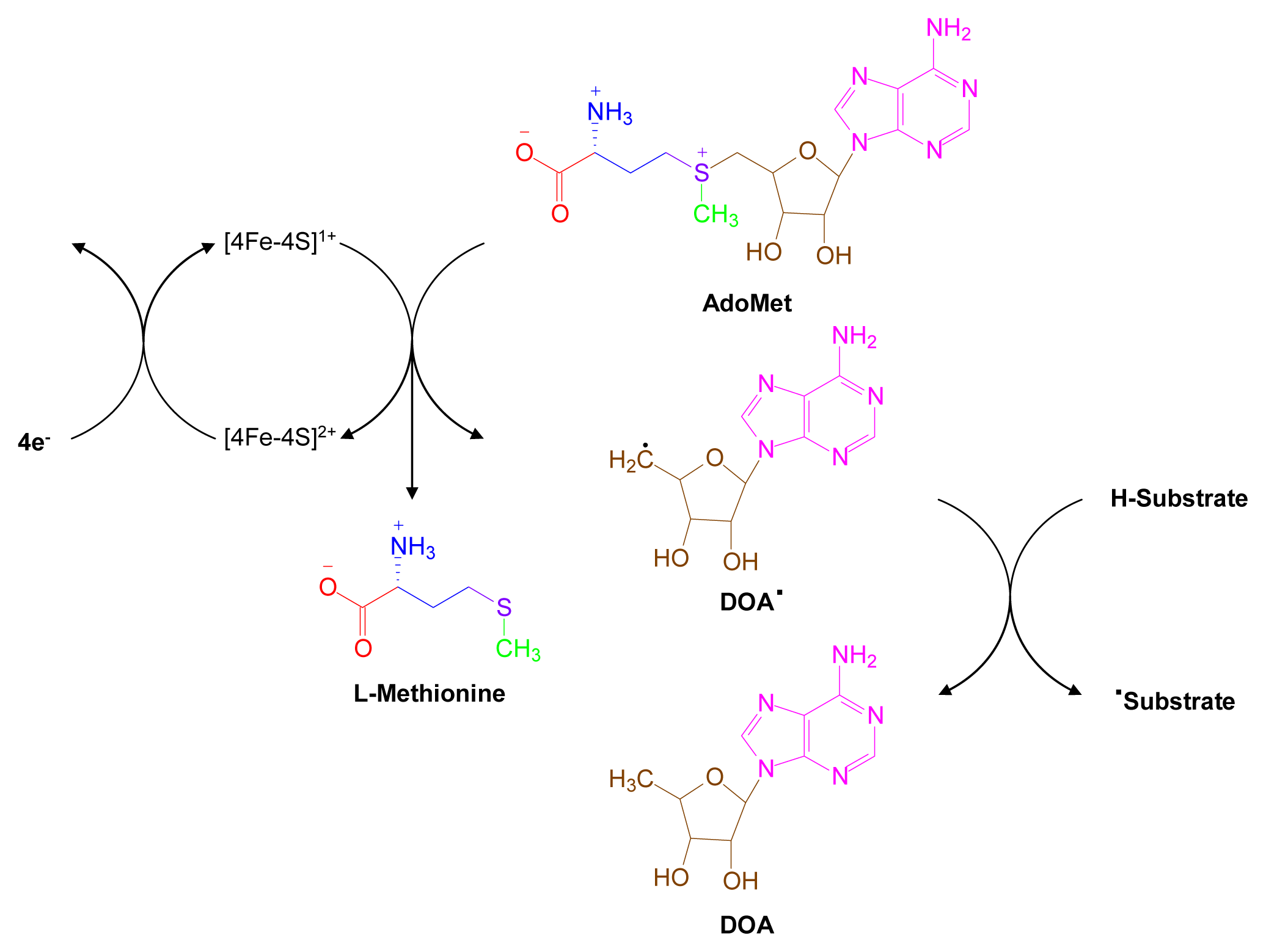 Marinedrugs 07 00401f10
