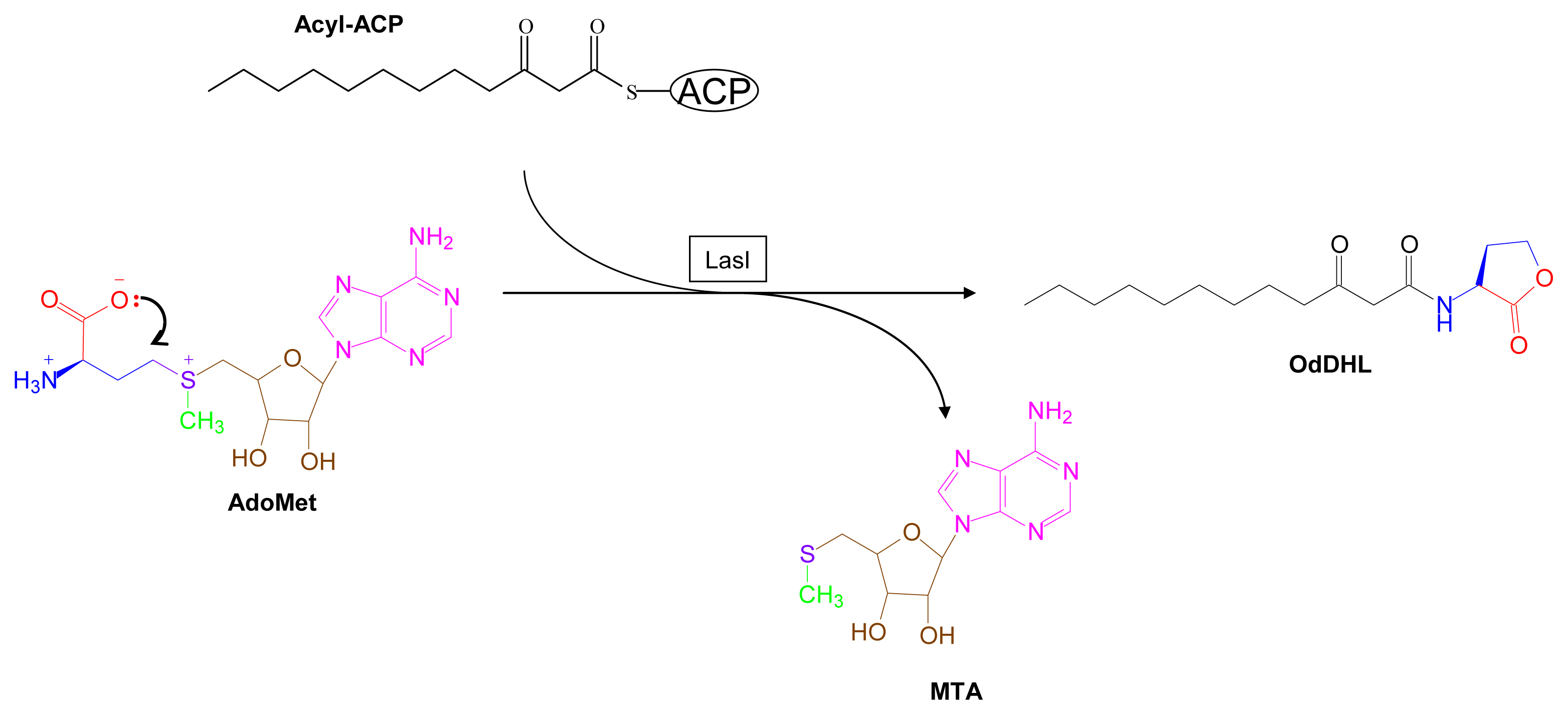 Marinedrugs 07 00401f11
