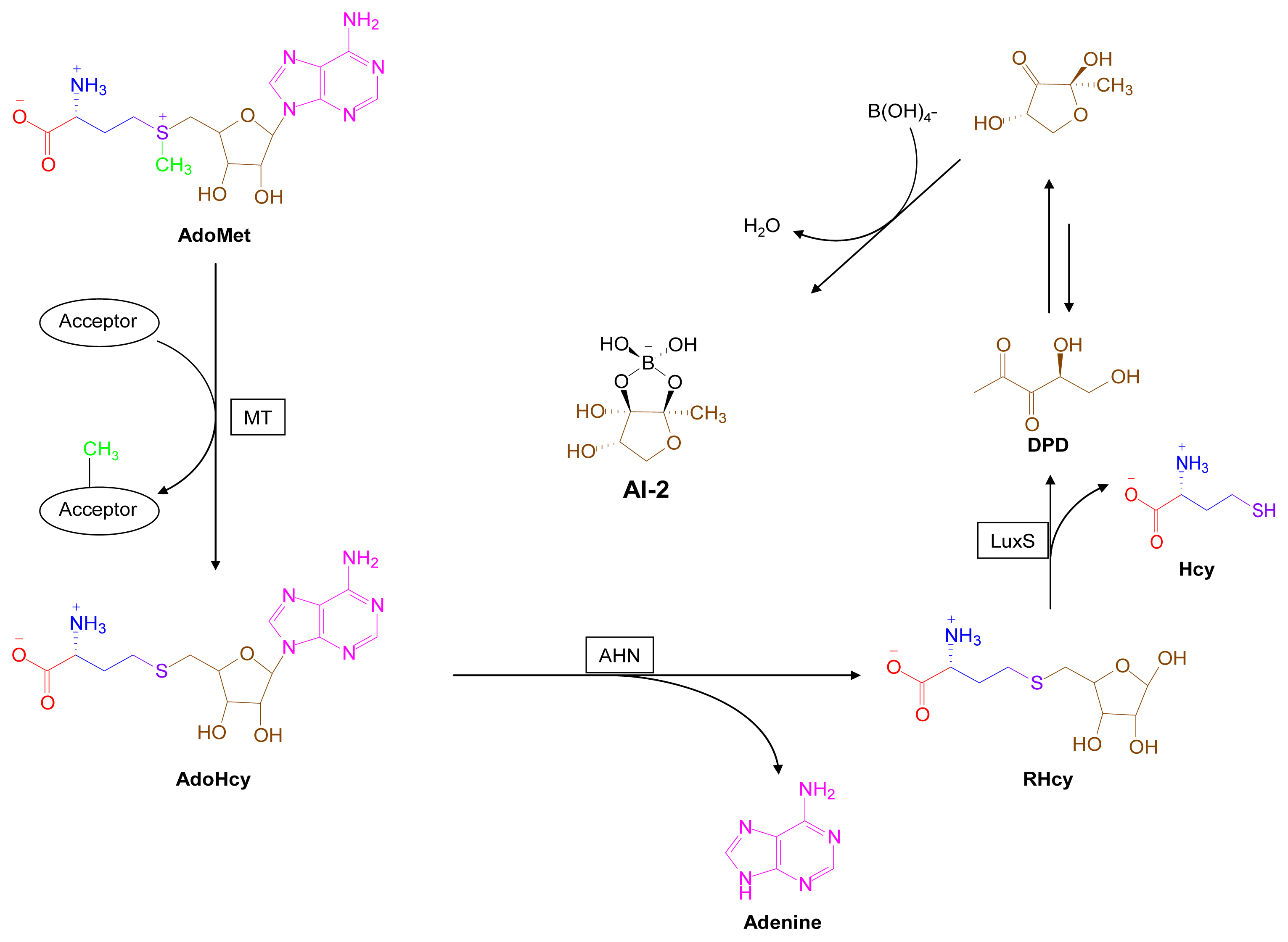 Marinedrugs 07 00401f15