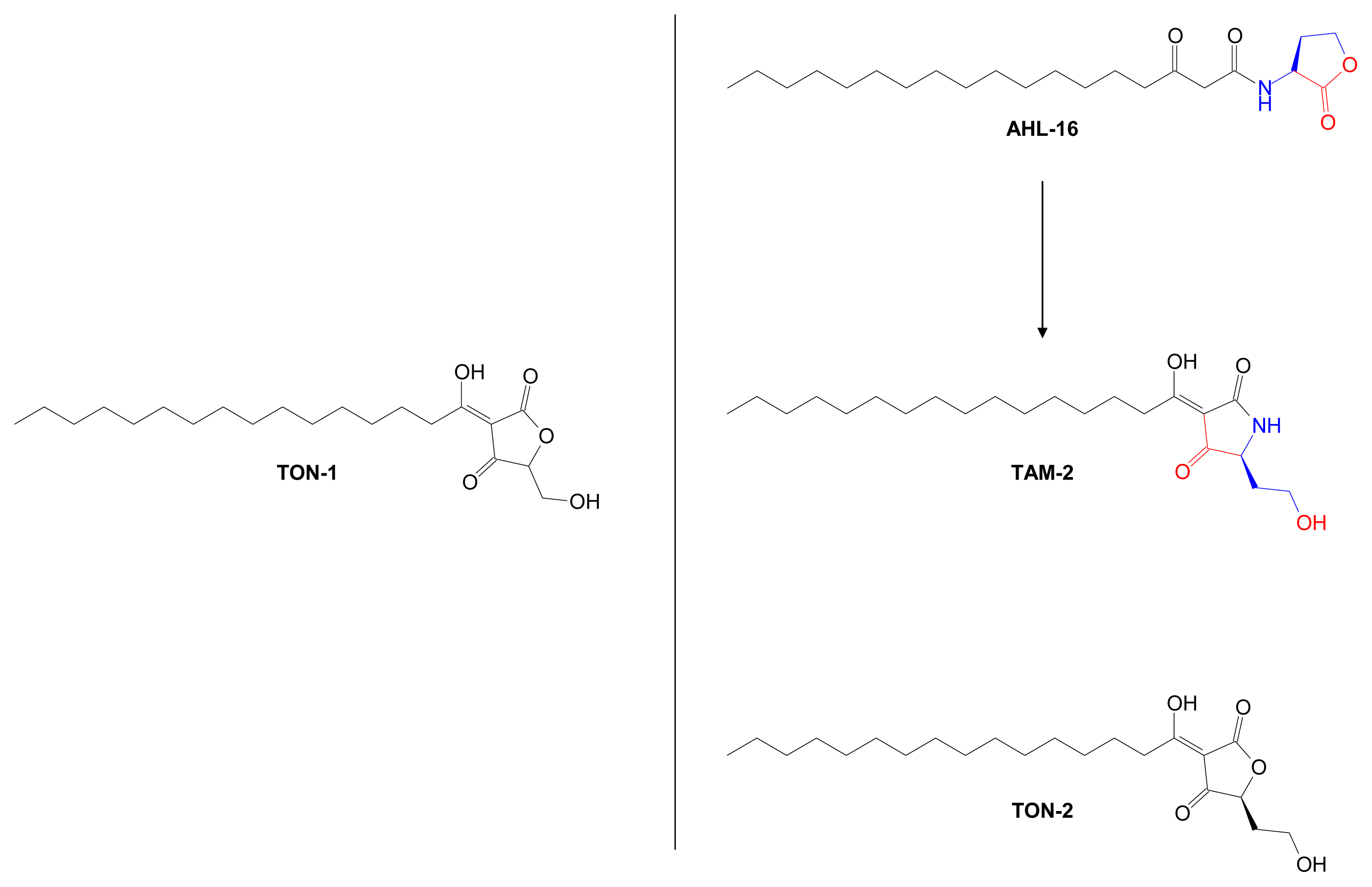 Marinedrugs 07 00401f17