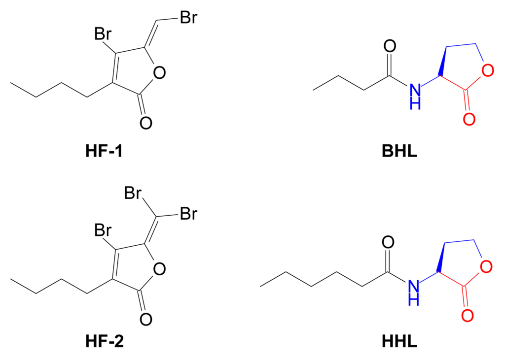 Marine-Derived Metabolites of S-Adenosylmethionine as