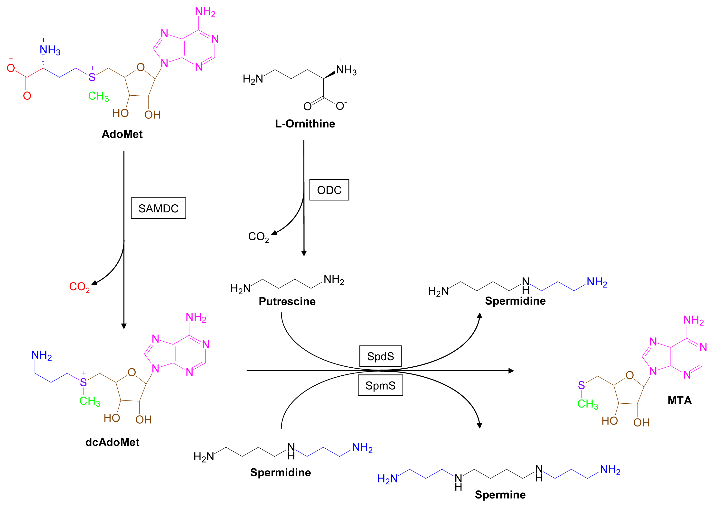 Marinedrugs 07 00401f3