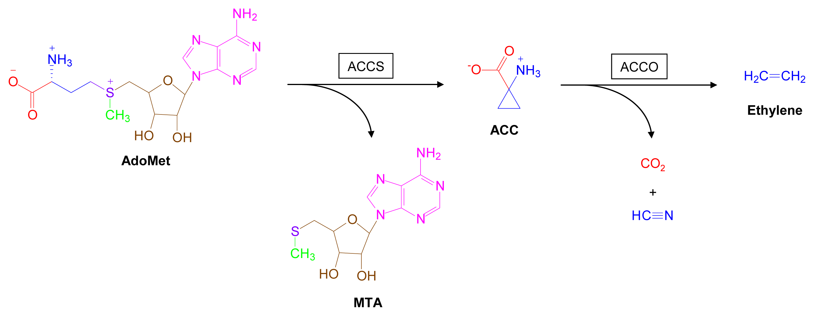 Marinedrugs 07 00401f8