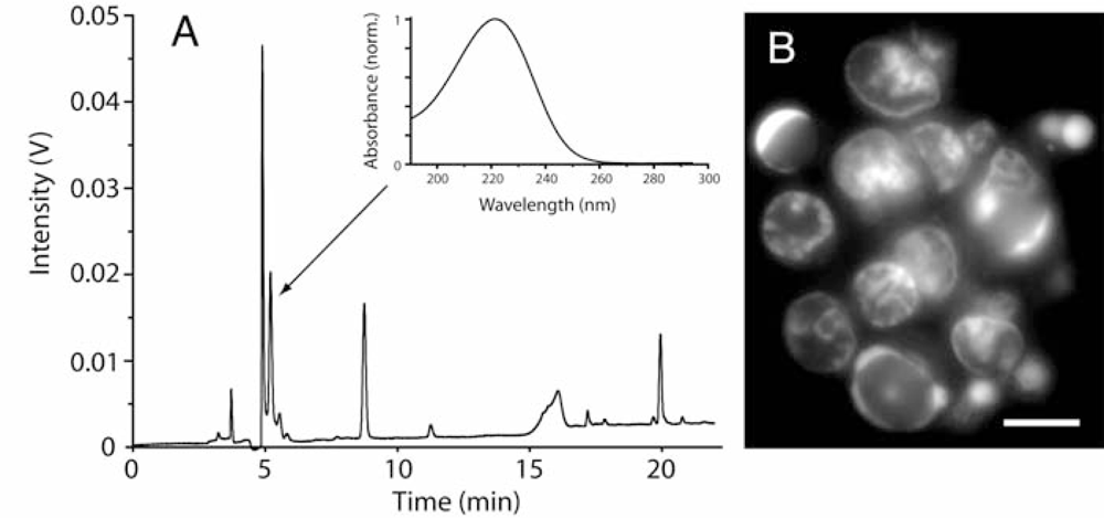 Marinedrugs 07 00605f2