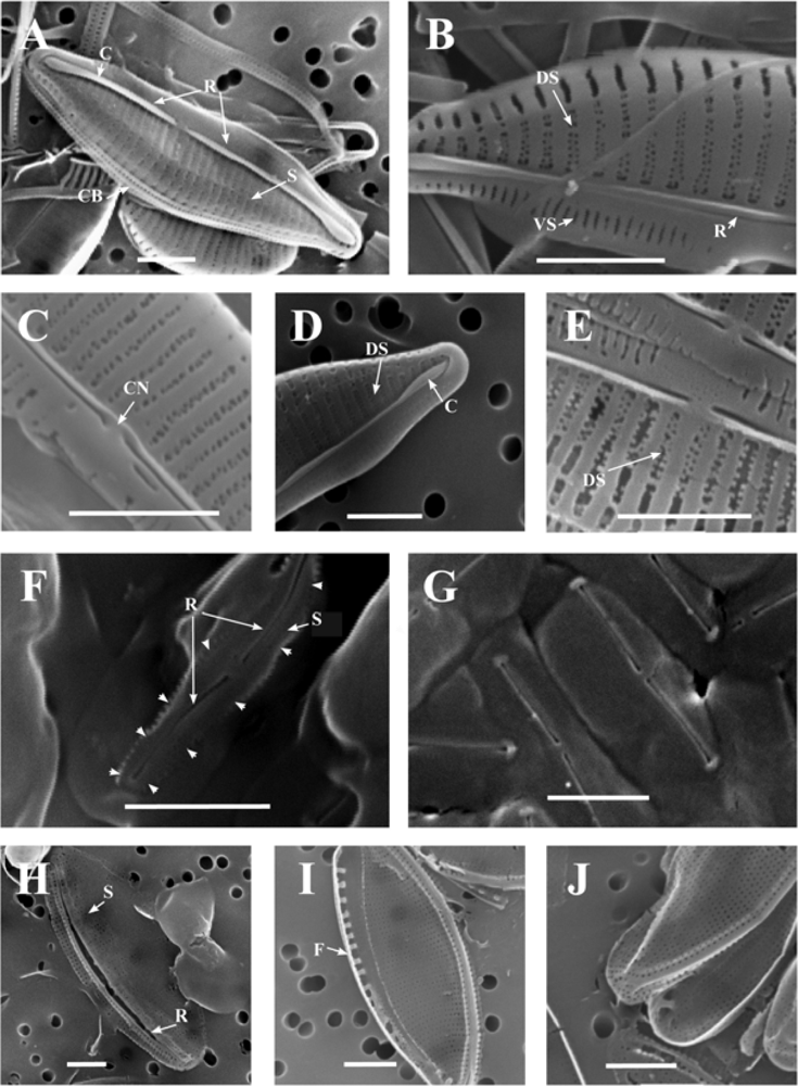 Marinedrugs 07 00605f4