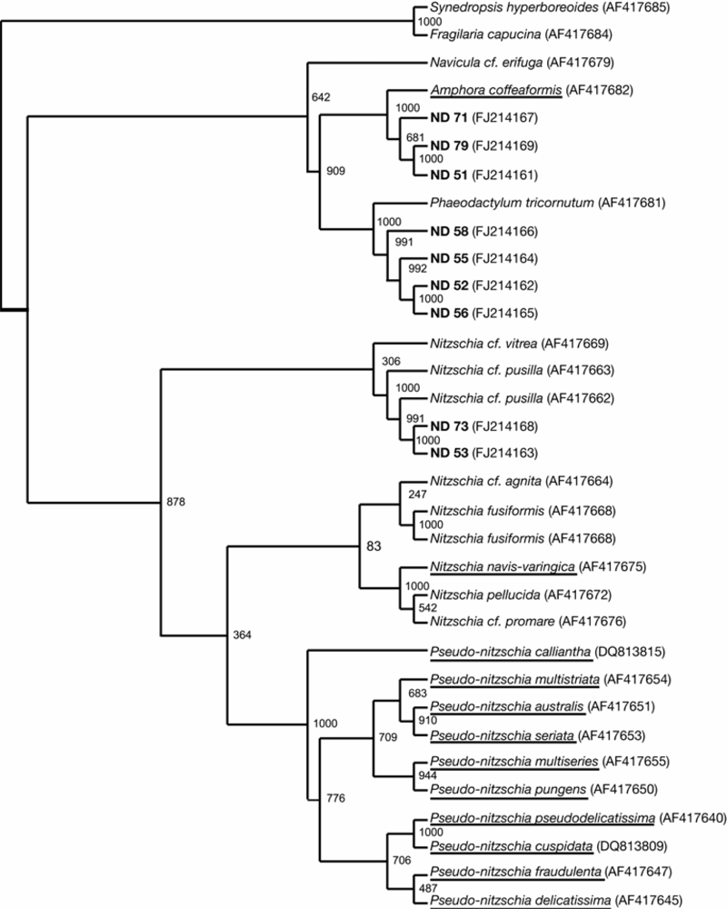 Marinedrugs 07 00605f5