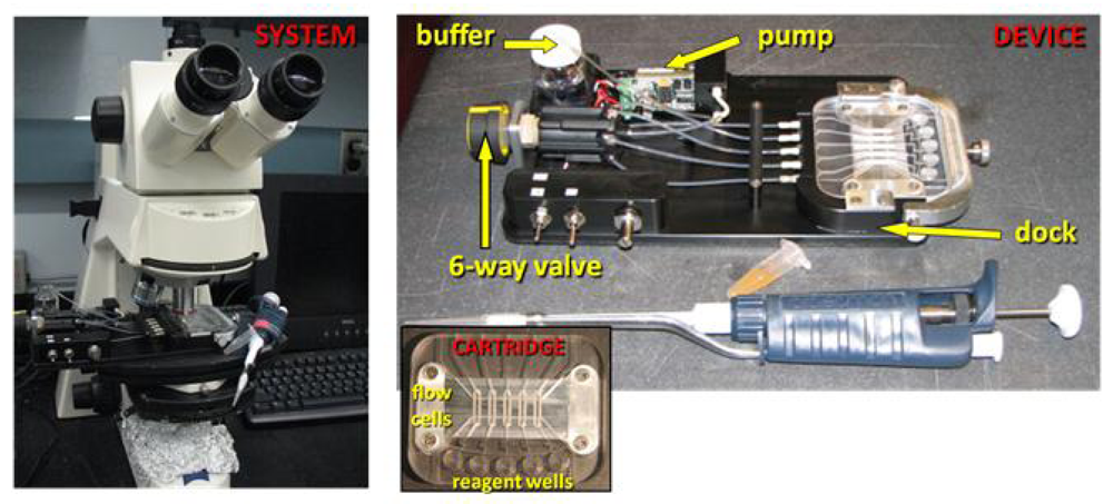Marinedrugs 08 00565f2 1024