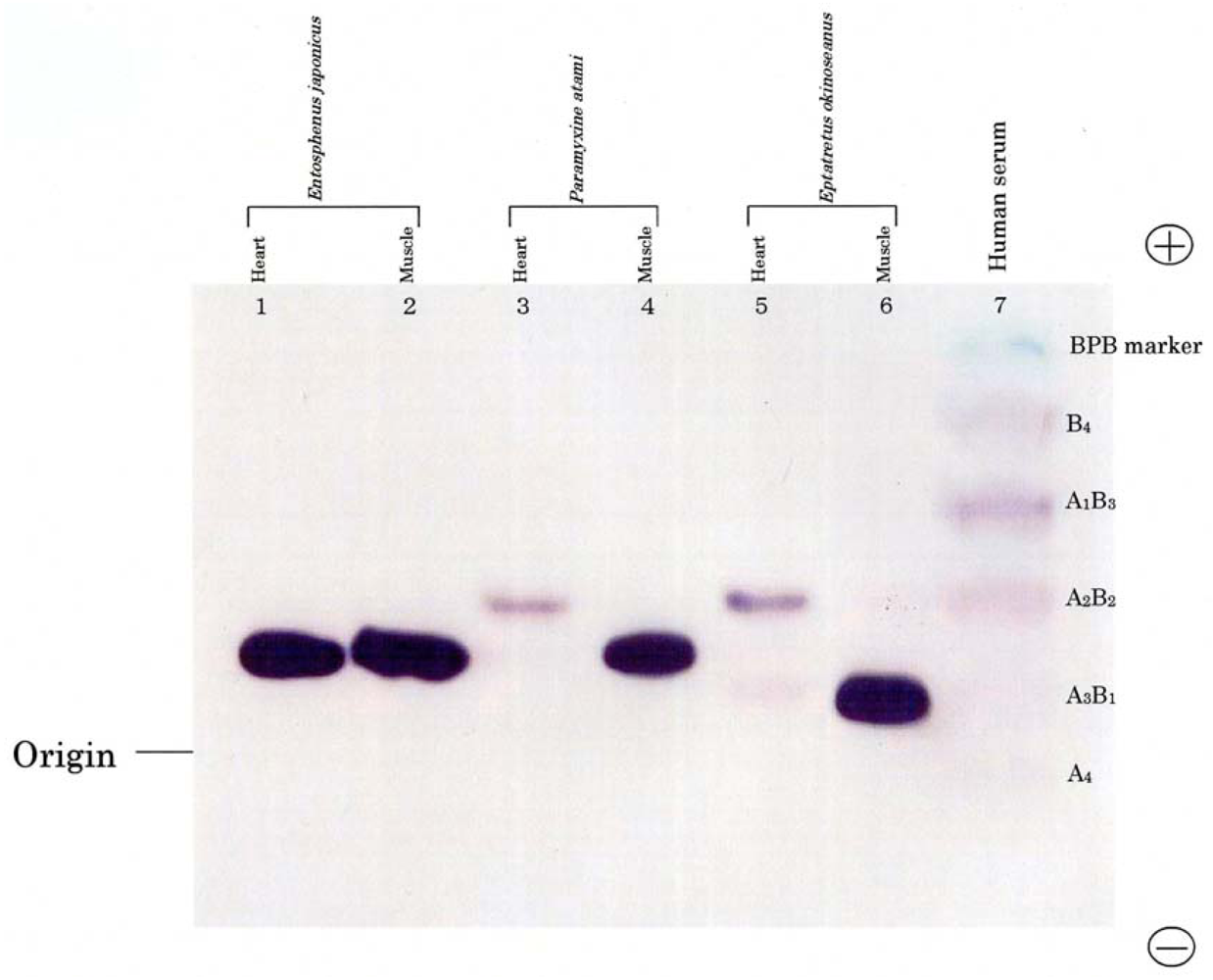 Marinedrugs 08 00594f1 1024