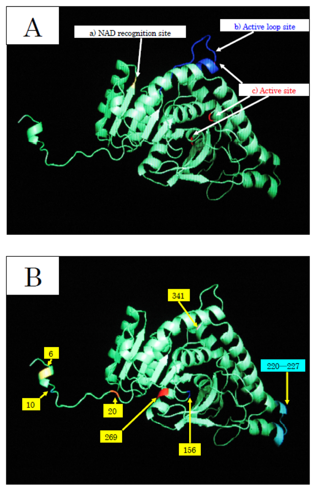 Marinedrugs 08 00594f5 1024