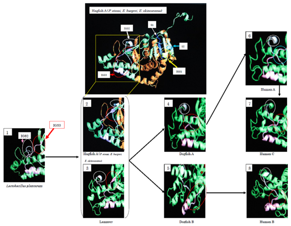Marinedrugs 08 00594f8 1024