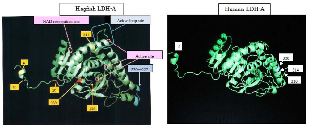 Marinedrugs 08 00594f9 1024