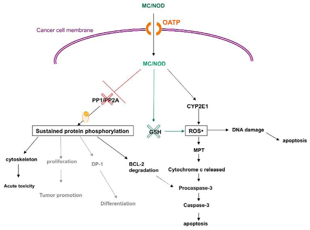 Marinedrugs 08 00629f3