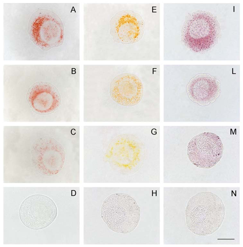 Marinedrugs 08 00658f2