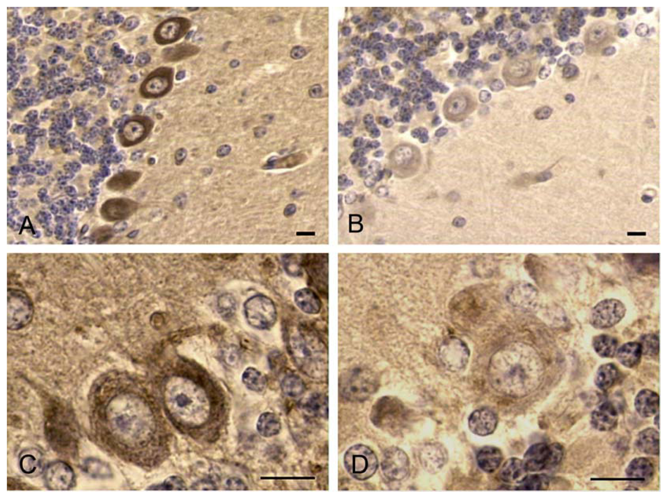 Marinedrugs 08 00658f3