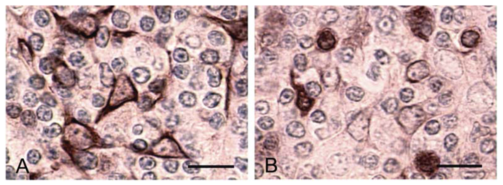 Marinedrugs 08 00658f5