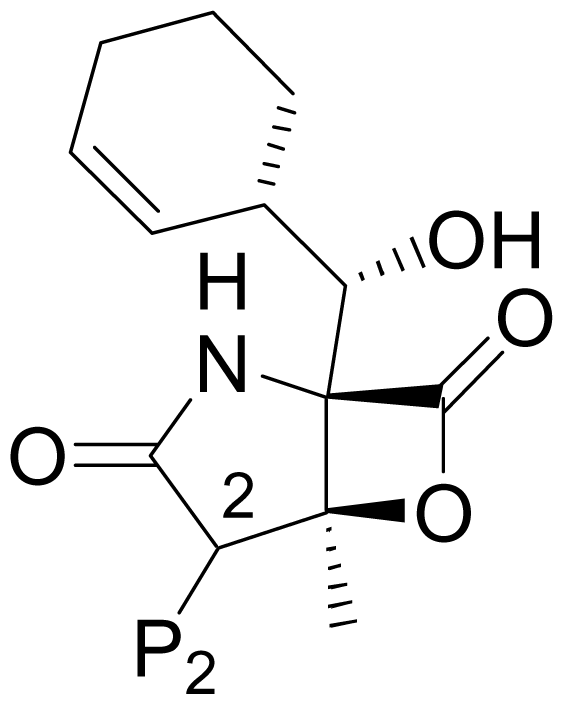 Marinedrugs 08 00835f19