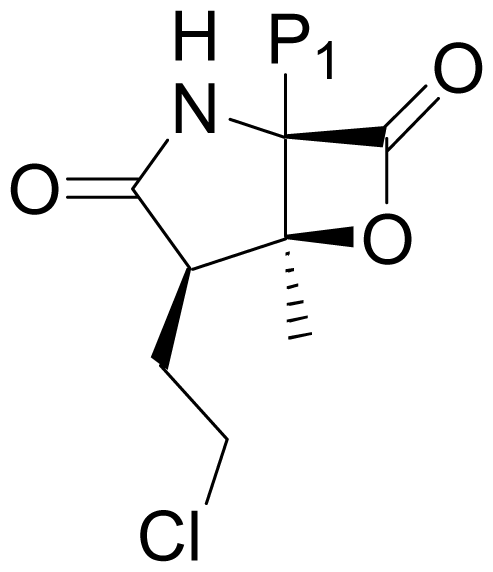 Marinedrugs 08 00835f37
