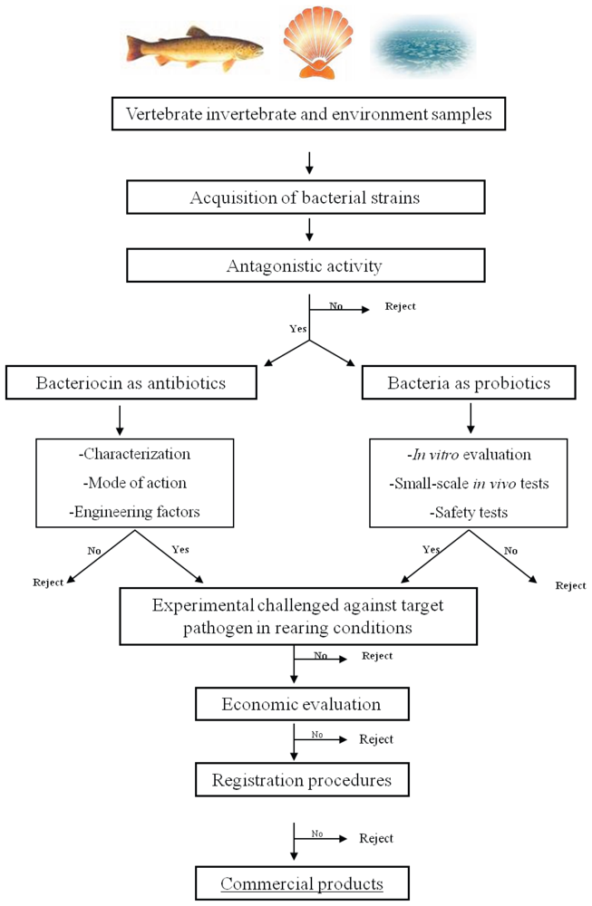 Colicin definition image