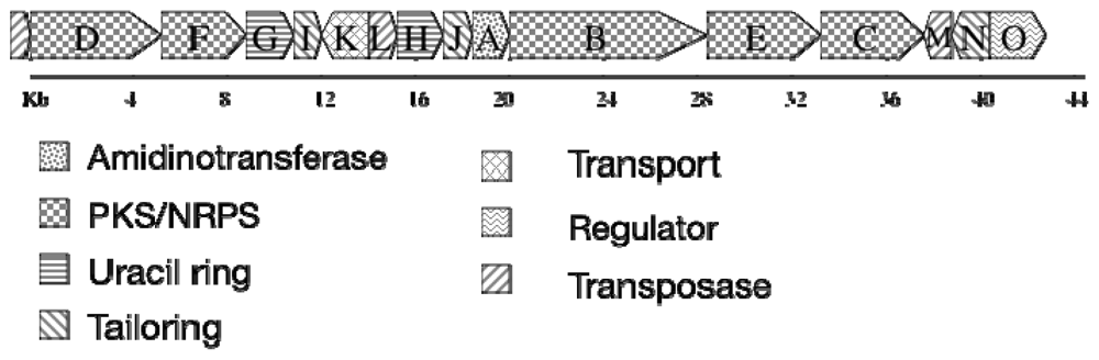 Marinedrugs 08 01650f10 1024