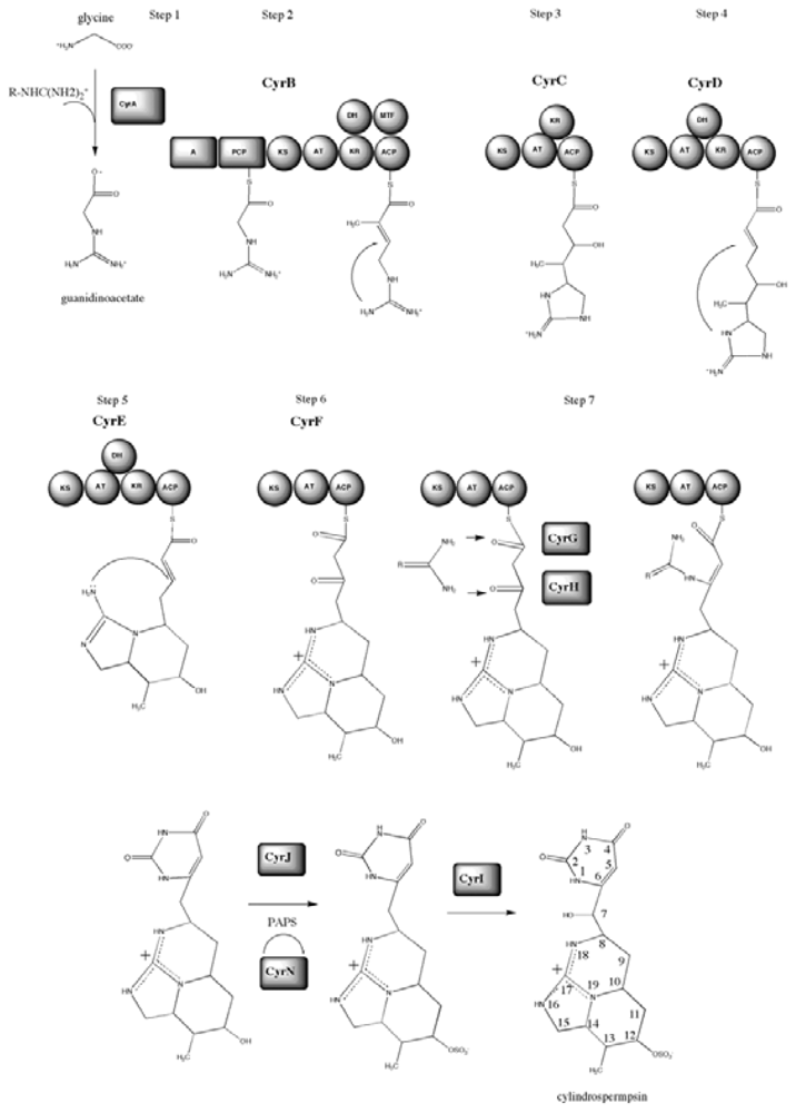 Marinedrugs 08 01650f11 1024