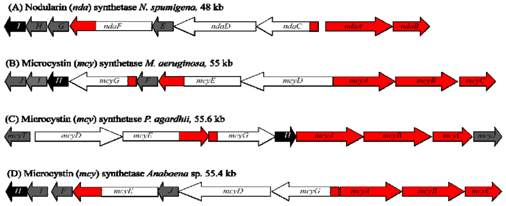 Marinedrugs 08 01650f2 1024