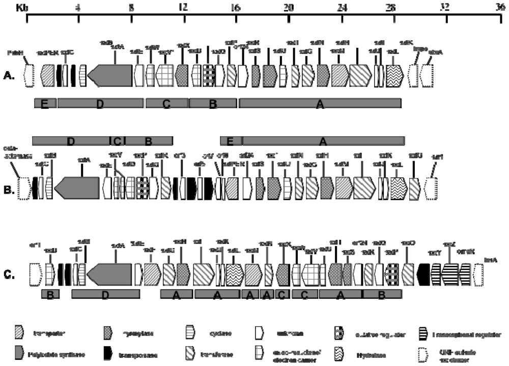 Marinedrugs 08 01650f7 1024
