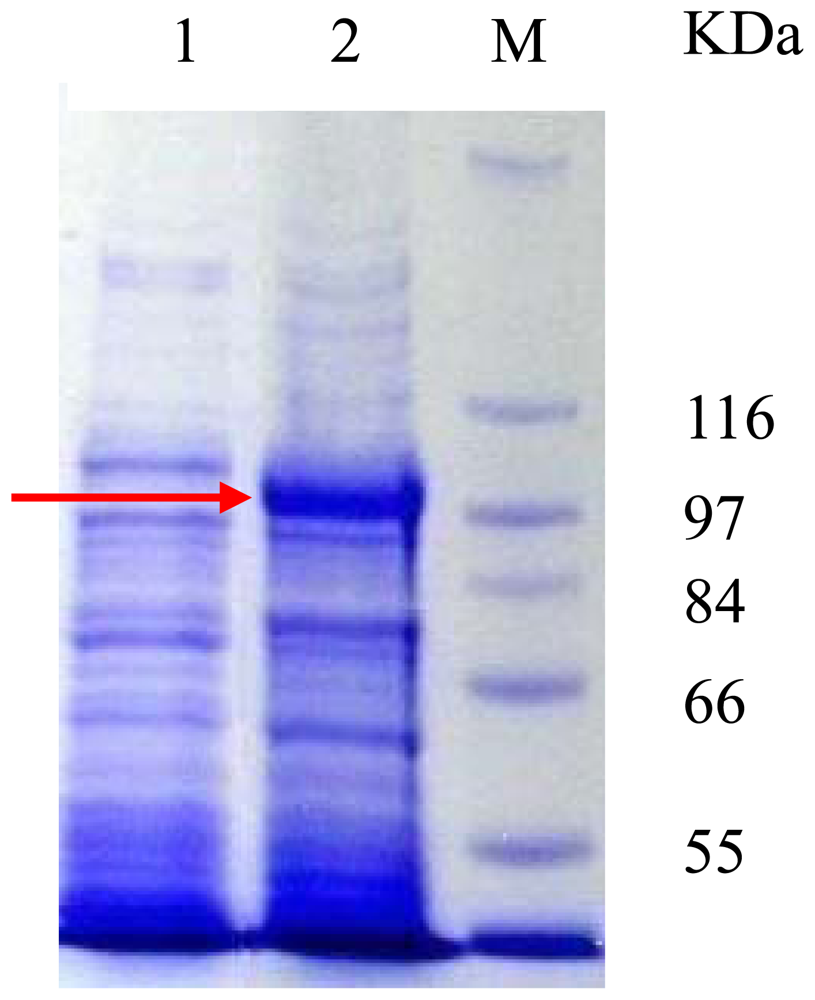 Marinedrugs 08 02065f2 1024