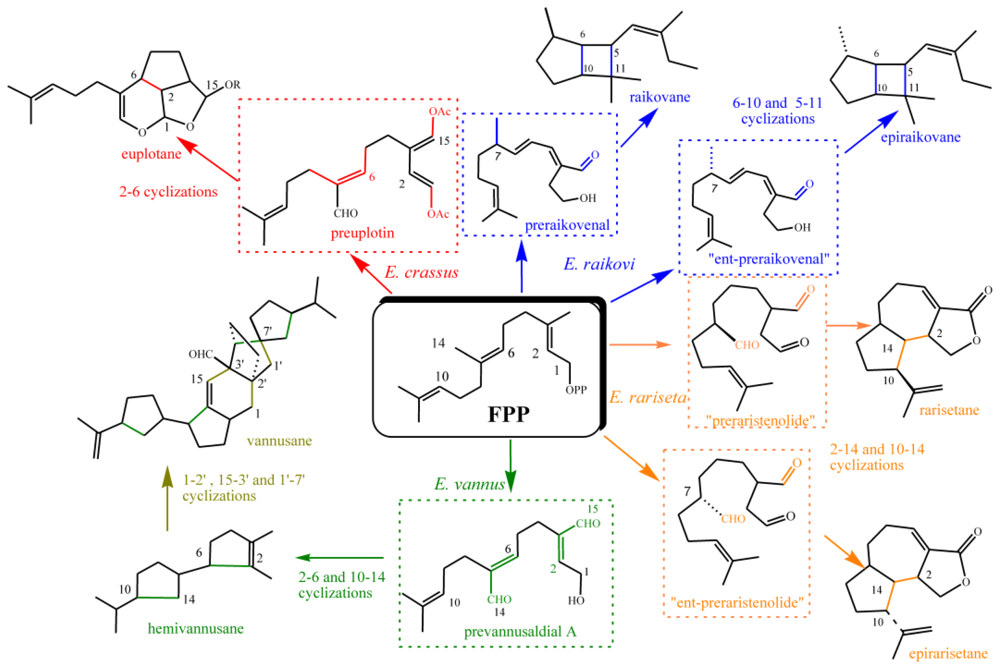 Marinedrugs 08 02080f26