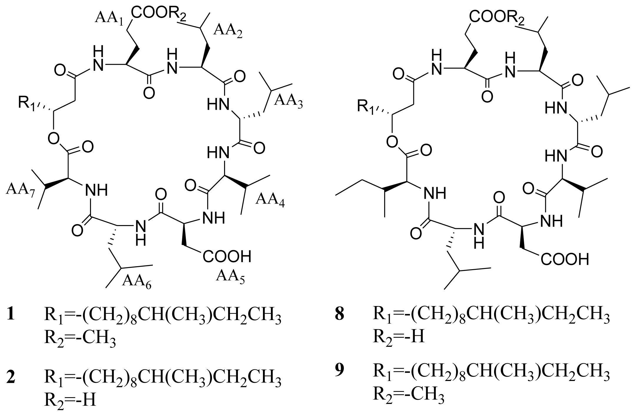 Marinedrugs 08 02605f1a 1024