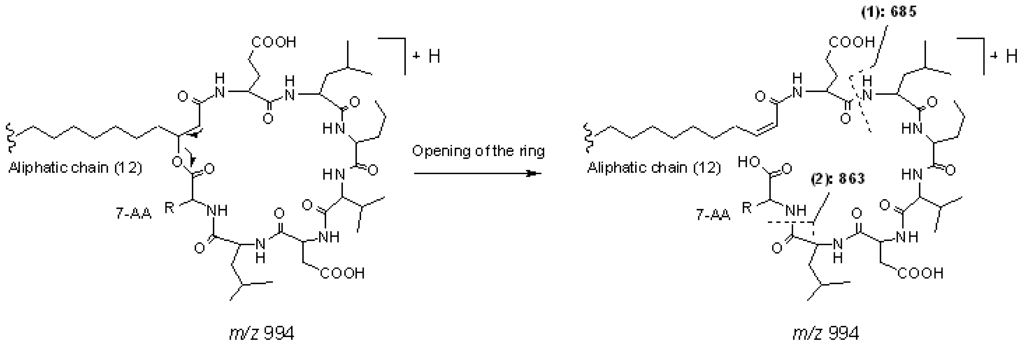 Marinedrugs 08 02605f5 1024
