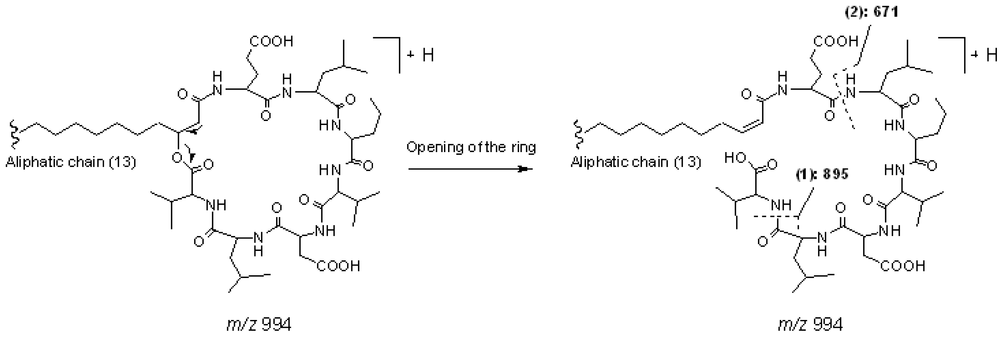 Marinedrugs 08 02605f6 1024