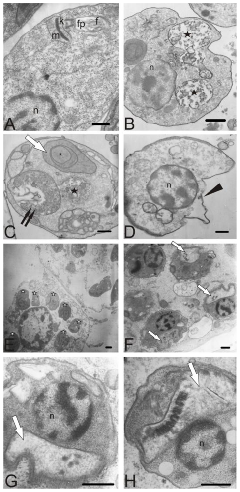 Marinedrugs 08 02733f5