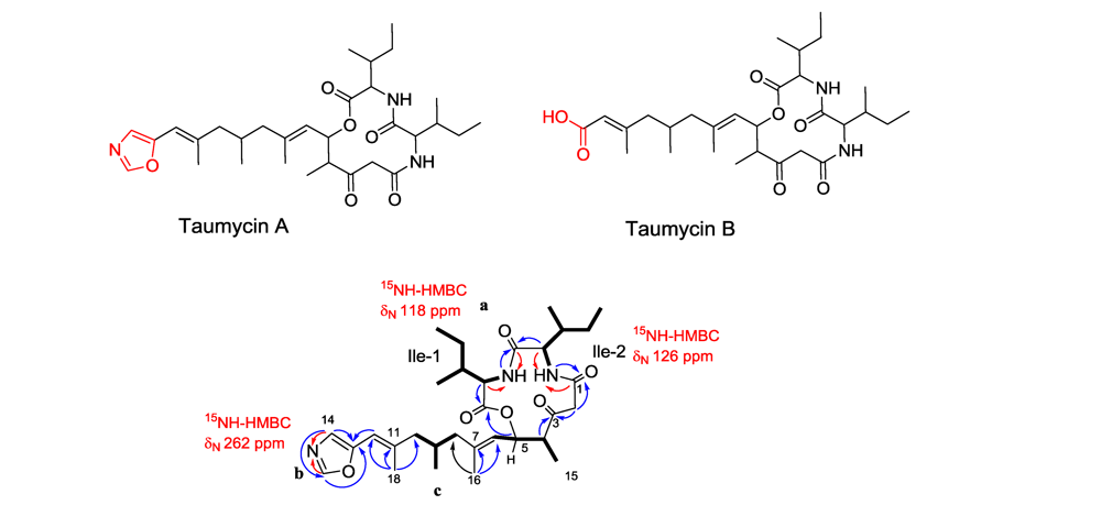 Marinedrugs 08 02810f16 1024