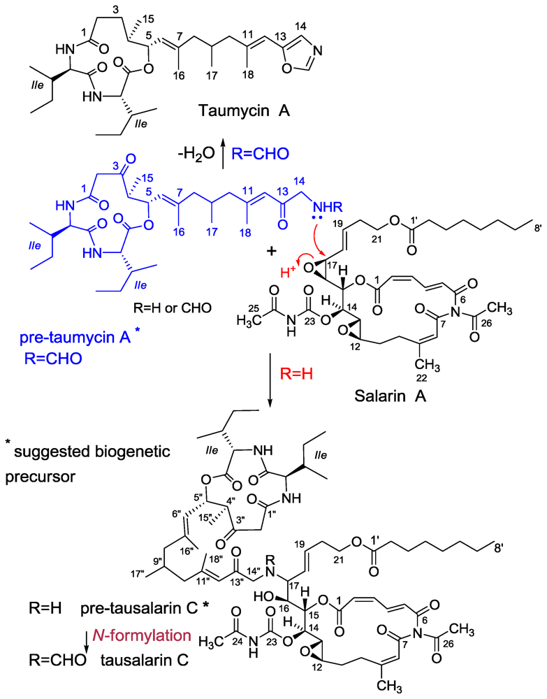 Marinedrugs 08 02810f24 1024