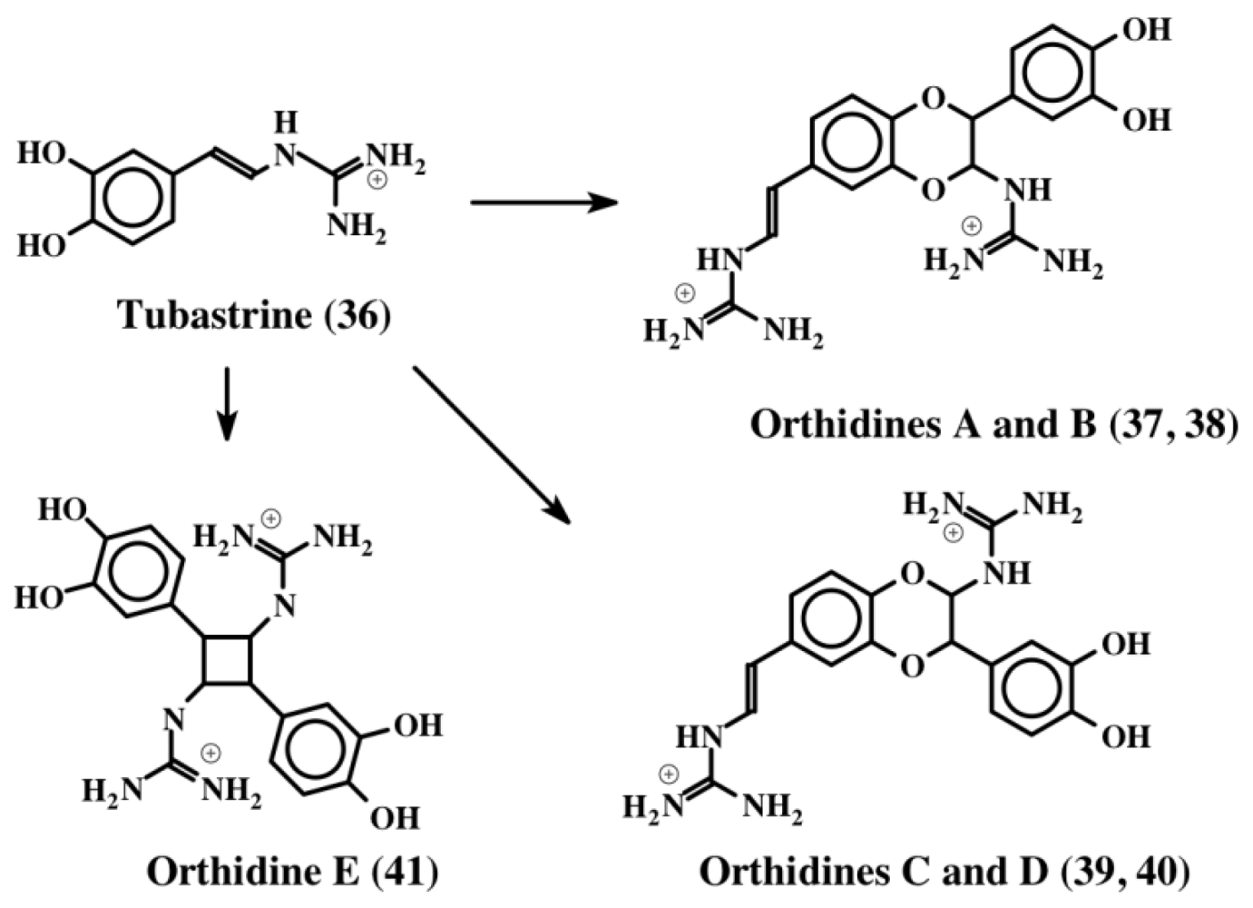 Marinedrugs 08 02906f8