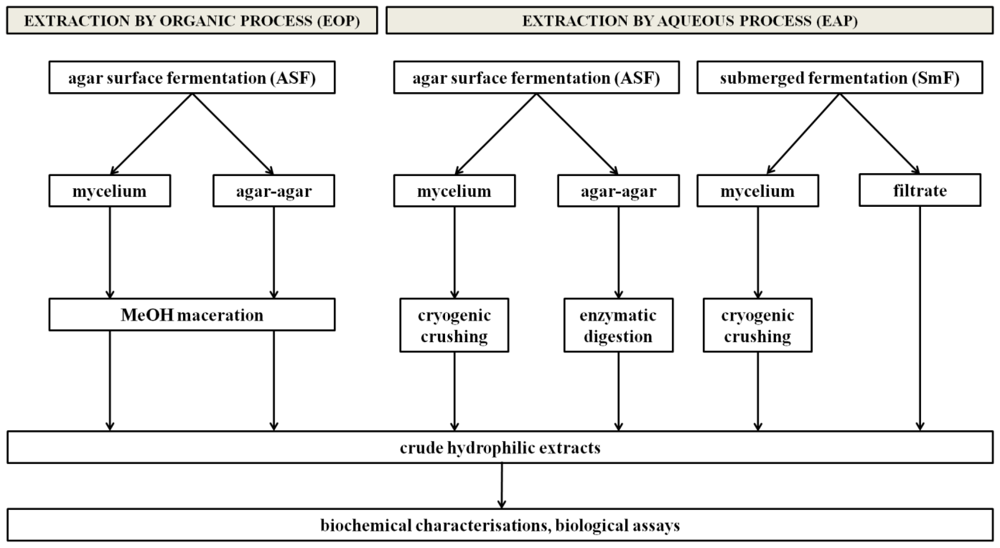 Marinedrugs 09 00082f1 1024